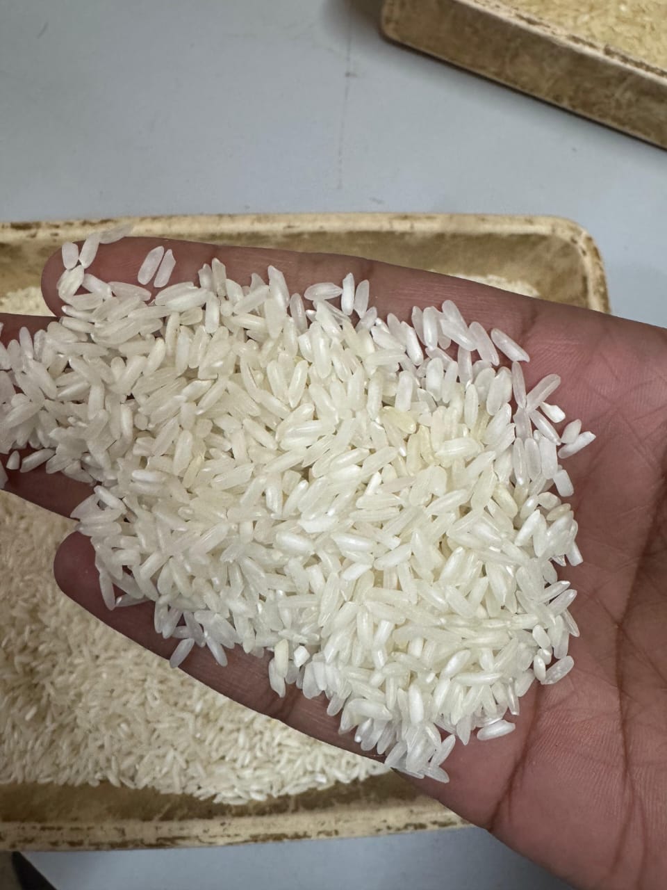 WhatsApp Image 2025-07-08 at 11.48.20 AM.jpeg